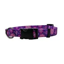 Cat Collars - Breakaway - MADE IN USA
