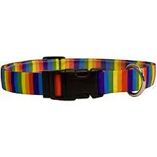 Cat Collars - Breakaway - MADE IN USA