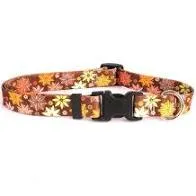 Cat Collars - Breakaway - MADE IN USA