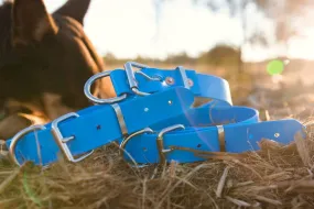 Dog Collar PVC 32mm x 70cm - Light Blue