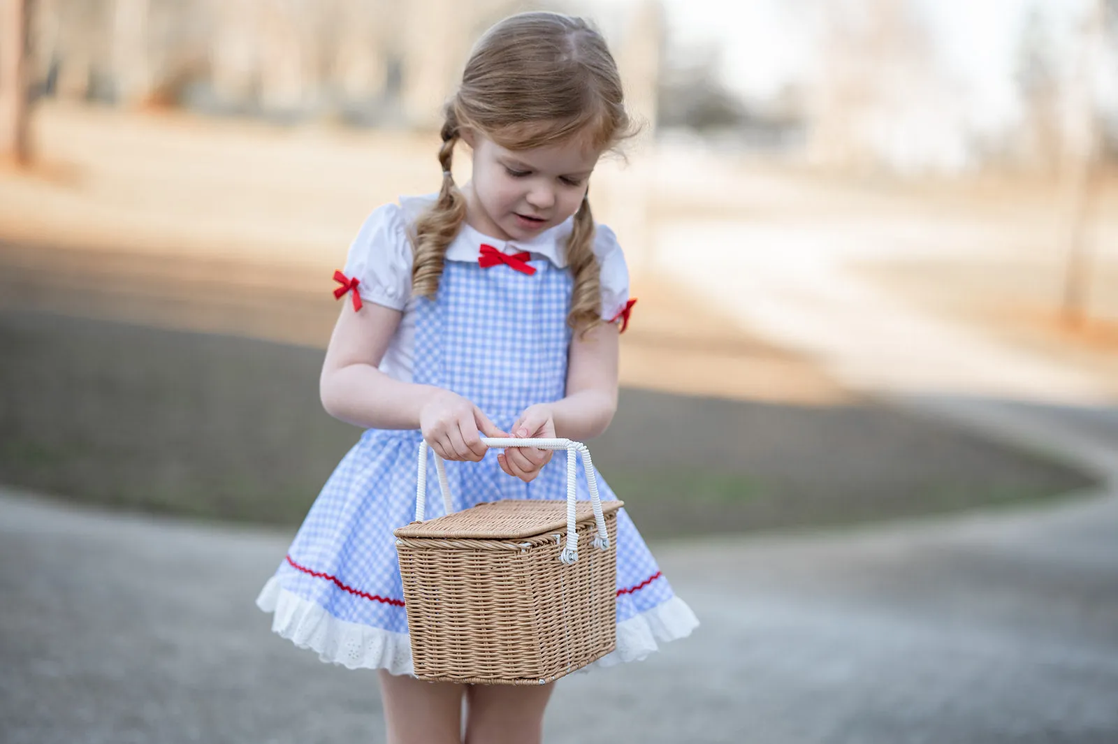 Dorothy Petti skirt Dress Set