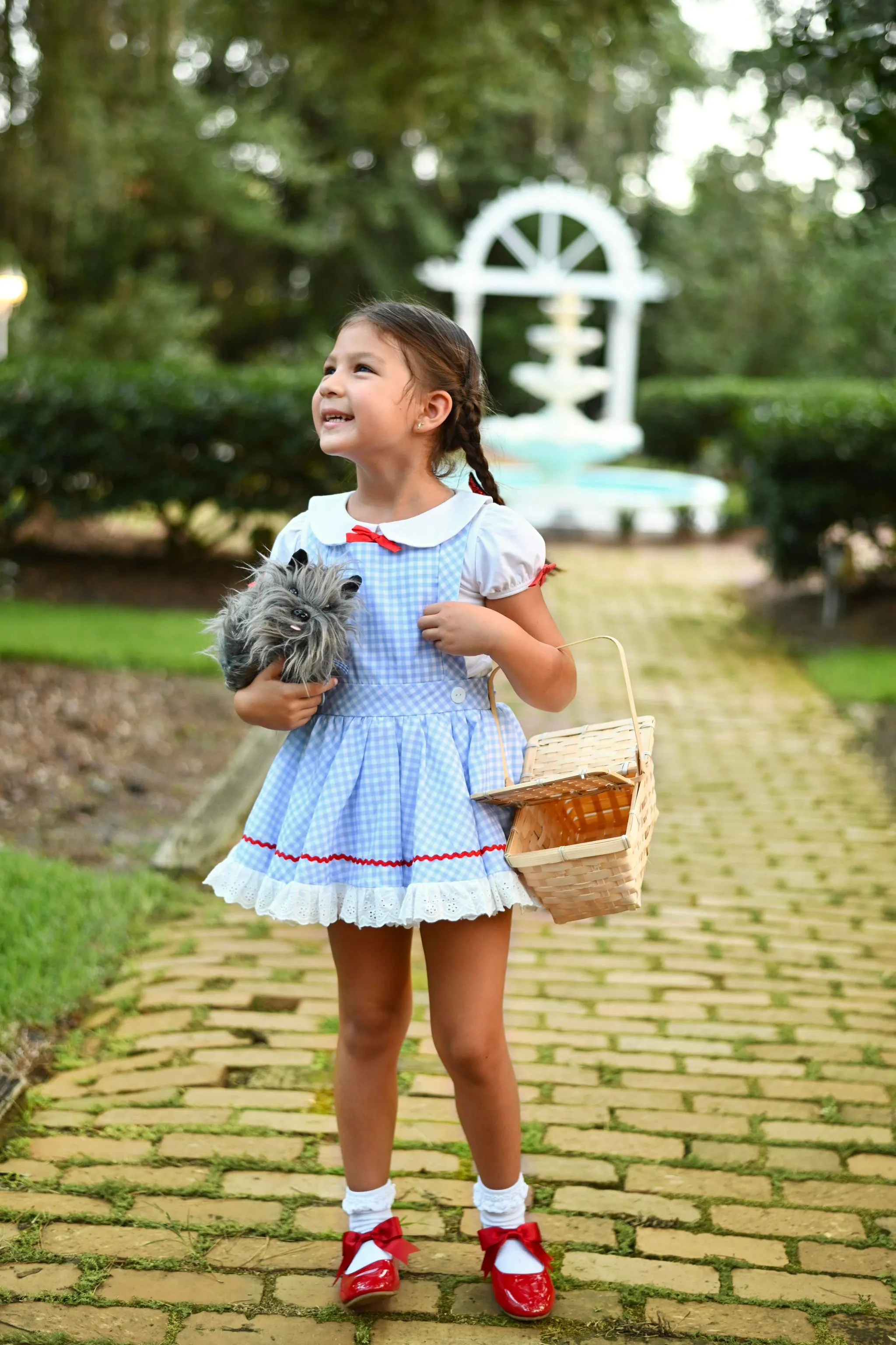 Dorothy Petti skirt Dress Set