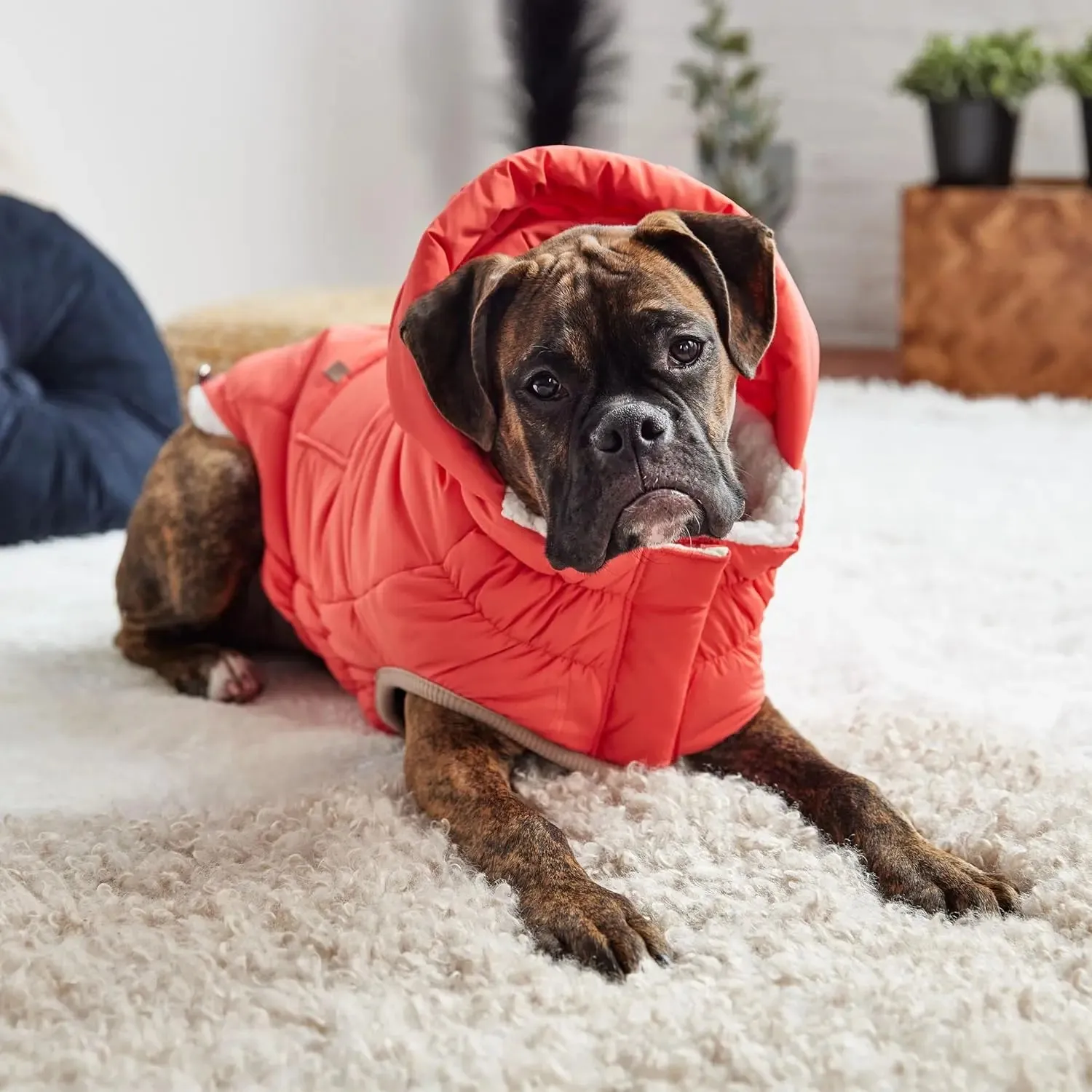GF Pet Elasto-Fit Nordic InFiber Dog Parka