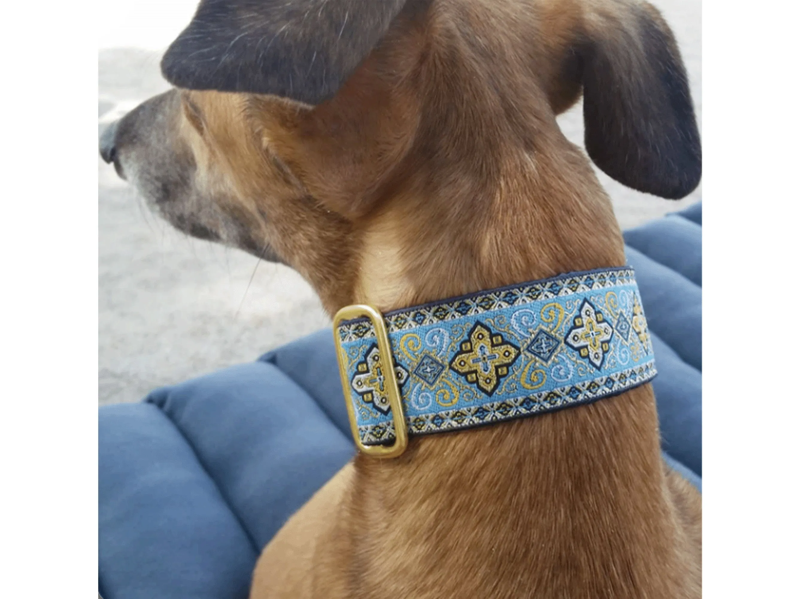Nobility in Light Blue - Martingale or Buckle Dog Collar - 1.5" Width