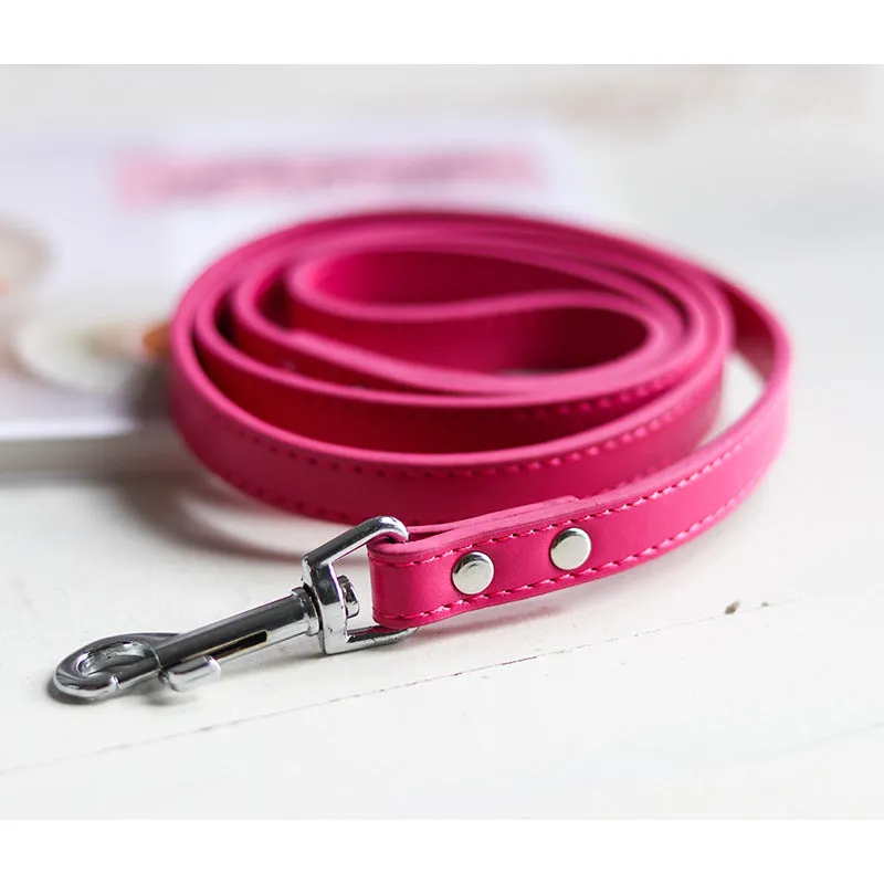 Pet leash collar