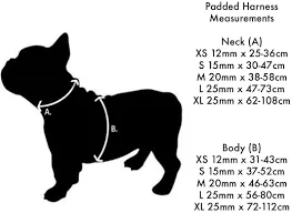 Red Dingo - Turquoise Bumble Bee Dog Collar - Large
